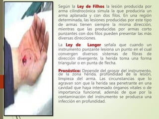 Según la Ley de Filhos la lesión producida por
arma cilindrocónica simula la que produciría un
arma aplanada y con dos filos. En una región
determinada, las lesiones producidas por este tipo
de armas tienen siempre la misma dirección,
mientras que las producidas por armas corto
punzantes con dos filos pueden presentar las más
diversas direcciones.
La Ley de Langer señala que cuando un
instrumento punzante lesiona un punto en el cual
convergen diversos sistemas de fibras de
dirección divergente, la herida toma una forma
triangular o en punta de flecha.
Pronóstico: Depende del grosor del instrumento,
de la zona herida, profundidad de la lesión,
limpieza del arma. Las circunstancias que lo
agravan son que la herida sea penetrante en una
cavidad que haya interesado órganos vitales o de
importancia funcional, además de que por la
contaminación del instrumento se produzca una
infección en profundidad.
 