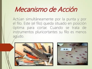 Mecanismo de Acción
Actúan simultáneamente por la punta y por
el filo. Este (el filo) queda situado en posición
óptima para cortar. Cuando se trata de
instrumentos pluricortantes su filo es menos
agudo.
 