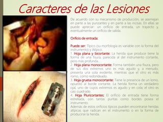 Caracteres de las Lesiones
De acuerdo con su mecanismo de producción, se asemejan
en parte a las punzantes y en parte a las incisas. En ellas se
puede apreciar: un orificio de entrada, un trayecto y,
eventualmente un orificio de salida.
Orificio de entrada:
Puede ser: Típico (su morfología es variable con la forma del
instrumento) y Atípico.
1. Hoja plana y bicortante: La herida que produce tiene la
forma de una fisura, parecida al del instrumento cortante,
pero más profunda.
2. Hoja plana monocortante: Forma también una fisura, pero
de sus dos extremos uno es más agudo y, a menudo,
presenta una cola evidente, mientras que el otro es más
romo, como redondeado.
3. Hoja gruesa monocortante: Tiene la presencia de un lomo,
opuesto al borde cortante. La herida forma un verdadero
ojal, uno de cuyos extremos es agudo y en cola; el otro es
casi cuadrado.
4. Hoja Pluricortantes: El orificio de entrada tiene forma
estrellada, con tantas puntas como bordes posea el
instrumento.
Además de estos orificios típicos pueden encontrarse heridas
atípicas que radican en el instrumento o en la forma de
producirse la herida.
 