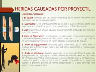 HERIDAS CAUSADAS POR PROYECTIL
Elementos Indicadores:
1. El Tatuaje: Formado por una zona concéntrica de los granos de pólvora no
quemados que se incrustan en la piel.
2. Quemadura: Es el chamuscamiento de la piel el cual se destaca como una
mancha ocre o amarillo negruzco que caracteriza el orificio de entrada.
3. Haz: Cubriendo el tatuaje, aparece el ahumamiento producido por el negro
humo del disparo.
4. Cono de Dispersión: Es la separación en abanico del conjunto de municiones
o perdigones que originalmente salen juntos proyectando un cono cuya base va
en aumento progresivamente en razón directa a la distancia del disparo.
5. Anillo de Enjugamiento: Conocido como zona Fisch, es un anillo que se
produce por la limpieza que hace la piel del polvo, lubricantes y residuos que
trae el proyectil.
6. Anillo de Contusión: También conocida como zona de Thoinot, collar de
apergaminado de Lacassagne o anillo collarete erosivo de Vibert, es una zona
de contusión equimótico excoriada que se debe a la distensión y contusión que
presenta la piel por efecto del proyectil, siendo muy evidente su presencia
cuando el proyectil penetra en forma perpendicular a la piel, teniendo una
forma circular y concéntrica.
 