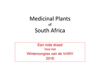 Medicinal Plants
of
South Africa
Een rode draad
Voor het
Wintercongres van de VnWV
2016
 