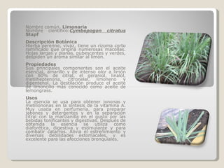 Nombre común.  Limonaria Nombre científico: Cymbopogon citratus  Stapf Descripción Botánica Hierba perenne, vivaz, tiene un rizoma corto ramificado que origina numerosas macollas. Hojas largas y planas, pubescentes y verdes, despiden un aroma similar al limón. Propiedades Sus principales componentes son el aceite esencial, amarillo y de intenso olor a limón con 80% de citral, el geraniol, linalol, metilheptenona, citronelal, limoneno y dipentenol. La destilación produce el aceite de limoncillo más conocido como aceite de lemongrass. Usos La esencia se usa para obtener iononas y metiliononas en la síntesis de la vitamina A. Muy usada en perfumería, para preparar jabones y detergentes y en la separación citral con la manzanilla en el gusto por las bebidas tonificantes y digestivas. Después de obtenida la esencia se utiliza como diaforética, digestiva y estimulante y para combatir catarros. Alivia el estreñimiento y diversas debilidades estomacales, y es excelente para las afecciones bronquiales. 