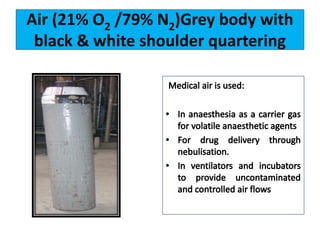 Air (21% O2 /79% N2)Grey body with
black & white shoulder quartering
 