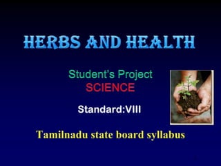 HERBS and health Student’s Project SCIENCE Standard:VIII Tamilnadu state board syllabus 1 