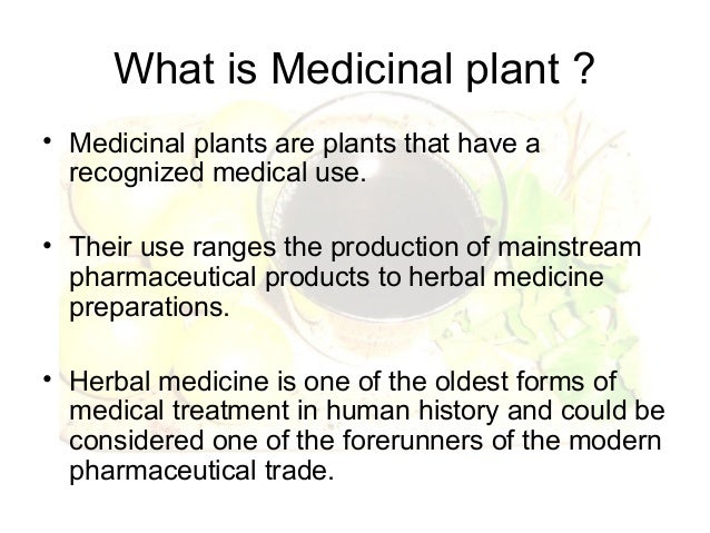 Essay on medicinal plants