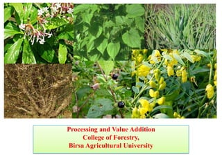 Processing and Value Addition
College of Forestry,
Birsa Agricultural University
 