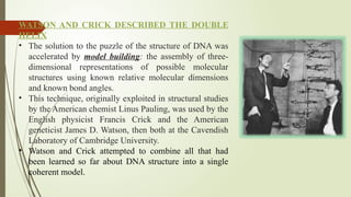 medicinalplantbiotechnology_AND_STUDY_OF_DNA[1].pptx