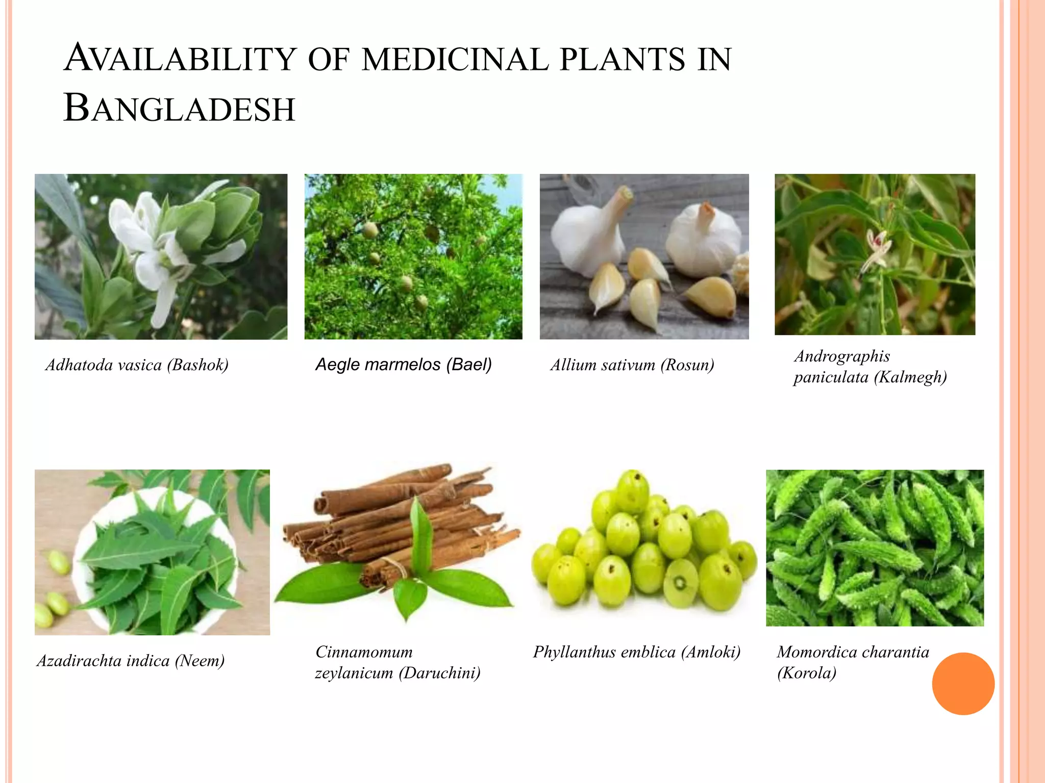 Medicinal plant of bangladesh with potential antidiabetic | PPT