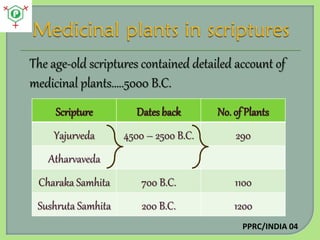 The age-old scriptures contained detailed account of
medicinal plants…..5000 B.C.
Scripture

Dates back

No. of Plants

Ya...