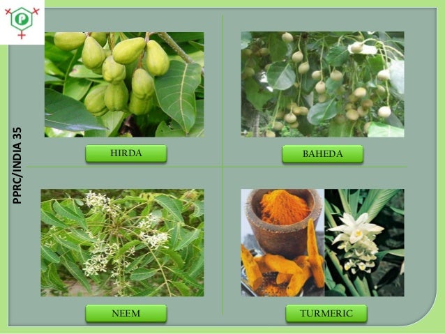 What medicinal plants are native to India?