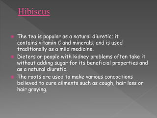  The tea is popular as a natural diuretic; it 
contains vitamin C and minerals, and is used 
traditionally as a mild medicine. 
 Dieters or people with kidney problems often take it 
without adding sugar for its beneficial properties and 
as a natural diuretic. 
 The roots are used to make various concoctions 
believed to cure ailments such as cough, hair loss or 
hair graying. 
 