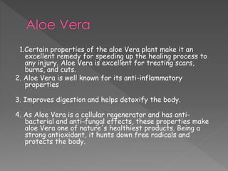 1.Certain properties of the aloe Vera plant make it an 
excellent remedy for speeding up the healing process to 
any injury. Aloe Vera is excellent for treating scars, 
burns, and cuts. 
2. Aloe Vera is well known for its anti-inflammatory 
properties 
3. Improves digestion and helps detoxify the body. 
4. As Aloe Vera is a cellular regenerator and has anti-bacterial 
and anti-fungal effects, these properties make 
aloe Vera one of nature's healthiest products. Being a 
strong antioxidant, it hunts down free radicals and 
protects the body. 
 