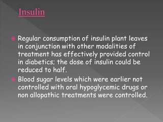 Regular consumption of insulin plant leaves 
in conjunction with other modalities of 
treatment has effectively provided control 
in diabetics; the dose of insulin could be 
reduced to half. 
 Blood sugar levels which were earlier not 
controlled with oral hypoglycemic drugs or 
non allopathic treatments were controlled. 
 