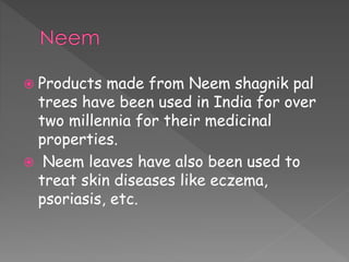  Products made from Neem shagnik pal 
trees have been used in India for over 
two millennia for their medicinal 
properties. 
 Neem leaves have also been used to 
treat skin diseases like eczema, 
psoriasis, etc. 
 