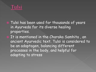  Tulsi has been used for thousands of years 
in Ayurveda for its diverse healing 
properties. 
 It is mentioned in the Charaka Samhita , an 
ancient Ayurvedic text. Tulsi is considered to 
be an adaptogen, balancing different 
processes in the body, and helpful for 
adapting to stress 
 