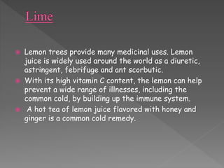  Lemon trees provide many medicinal uses. Lemon 
juice is widely used around the world as a diuretic, 
astringent, febrifuge and ant scorbutic. 
 With its high vitamin C content, the lemon can help 
prevent a wide range of illnesses, including the 
common cold, by building up the immune system. 
 A hot tea of lemon juice flavored with honey and 
ginger is a common cold remedy. 
 