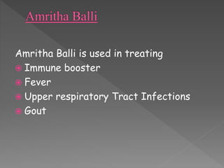 Amritha Balli is used in treating 
 Immune booster 
 Fever 
 Upper respiratory Tract Infections 
 Gout 
 