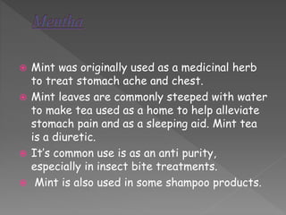 Mint was originally used as a medicinal herb 
to treat stomach ache and chest. 
 Mint leaves are commonly steeped with water 
to make tea used as a home to help alleviate 
stomach pain and as a sleeping aid. Mint tea 
is a diuretic. 
 It’s common use is as an anti purity, 
especially in insect bite treatments. 
 Mint is also used in some shampoo products. 
 