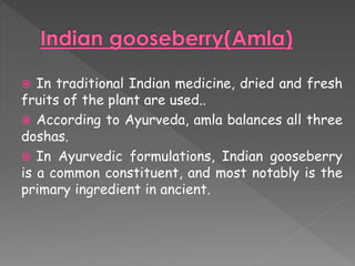  In traditional Indian medicine, dried and fresh 
fruits of the plant are used.. 
 According to Ayurveda, amla balances all three 
doshas. 
 In Ayurvedic formulations, Indian gooseberry 
is a common constituent, and most notably is the 
primary ingredient in ancient. 
 