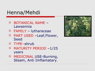 Henna/Mehdi 
 BOTANICAL NAME – 
Lawsennia 
 FAMILY – lytharaceae 
 PART USED –Leaf,Flower, 
Seed 
 TYPE–shrub 
 MATURITY PERIOD –1/25 
years 
 MEDICINAL USE-Burning, 
Steam, Anti Imflamatary. 
 