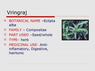 Vringraj 
 BOTANICAL NAME –Eclipta 
alba 
 FAMILY – Compositae 
 PART USED –Seed/whole 
 TYPE– herb 
 MEDICINAL USE- Anti-inflamatory, 
Digestive, 
hairtonic 
 