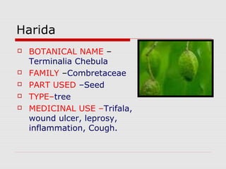 Harida 
 BOTANICAL NAME – 
Terminalia Chebula 
 FAMILY –Combretaceae 
 PART USED –Seed 
 TYPE–tree 
 MEDICINAL USE –Trifala, 
wound ulcer, leprosy, 
inflammation, Cough. 
 