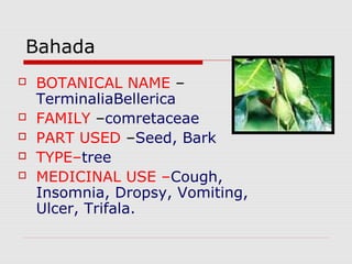 Bahada 
 BOTANICAL NAME – 
TerminaliaBellerica 
 FAMILY –comretaceae 
 PART USED –Seed, Bark 
 TYPE–tree 
 MEDICINAL USE –Cough, 
Insomnia, Dropsy, Vomiting, 
Ulcer, Trifala. 
 