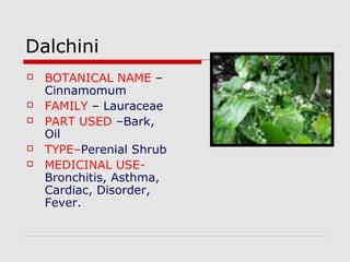Dalchini 
 BOTANICAL NAME – 
Cinnamomum 
 FAMILY – Lauraceae 
 PART USED –Bark, 
Oil 
 TYPE–Perenial Shrub 
 MEDICINAL USE-Bronchitis, 
Asthma, 
Cardiac, Disorder, 
Fever. 
 