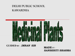 DELHI PUBLIC SCHOOL 
KAWARDHA 
GUIDED BY – IMRAN SIR 
MADE BY – 
SANSKRITI SHARMA 
 