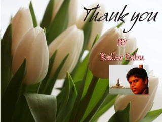 Medicinalplants 141222223747-conversion-gate02