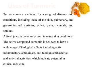 Turmeric Activity medicinal plants and their common uses.pptx