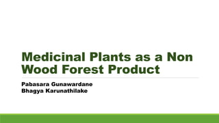 Medicinal Plants as a Non
Wood Forest Product
Pabasara Gunawardane
Bhagya Karunathilake
 