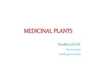 MEDICINAL PLANTS
Nandhu Lal A.M.
Kcaet, tavanur
Kerala agrl university
 