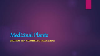 Medicinal Plants
MADE BY MD. MORSHEDUL ISLAM KHAN
 