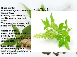 .Blood purifer.
.Preventive against malaria &
dengue fever.
.Chewing tusli leaves of
basil,twice a day prevent
stress.
.The leaves are a never tonic
& also sharpen memory.
.decortion of the
leaves+honey+ginger=effectiv
e remedy for
bronchits,asthma,influenza,co
ugh and cold.
Juice of basil leaves+honey
.(if taken reqularly for 6
months)=expel renal stone via
the urinary tract.
• 1.TULSI
 