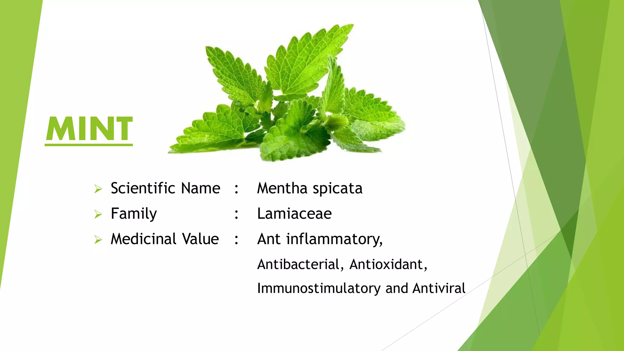 medicinal-plants-pdf