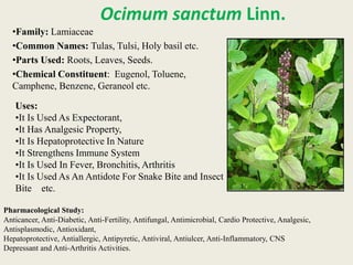 Medicinal Plants.pptx