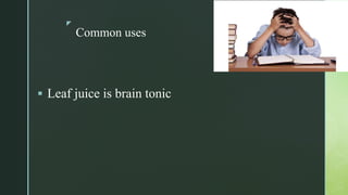 z
Common uses
 Leaf juice is brain tonic
 
