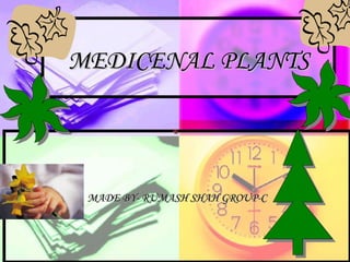 MEDICENAL PLANTSMEDICENAL PLANTS
MADE BY- RUMASH SHAH GROUP-CMADE BY- RUMASH SHAH GROUP-C
 
