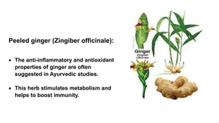 Peeled ginger (Zingiber officinale):
 The anti-inflammatory and antioxidant
properties of ginger are often
suggested in Ayurvedic studies.
 This herb stimulates metabolism and
helps to boost immunity.
 
