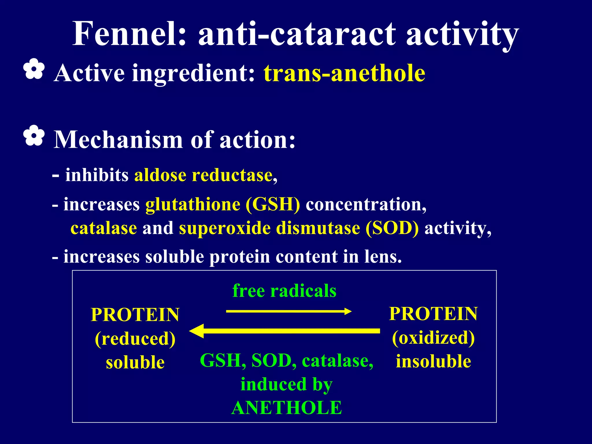 Medicinal plants the future in cataract therapy