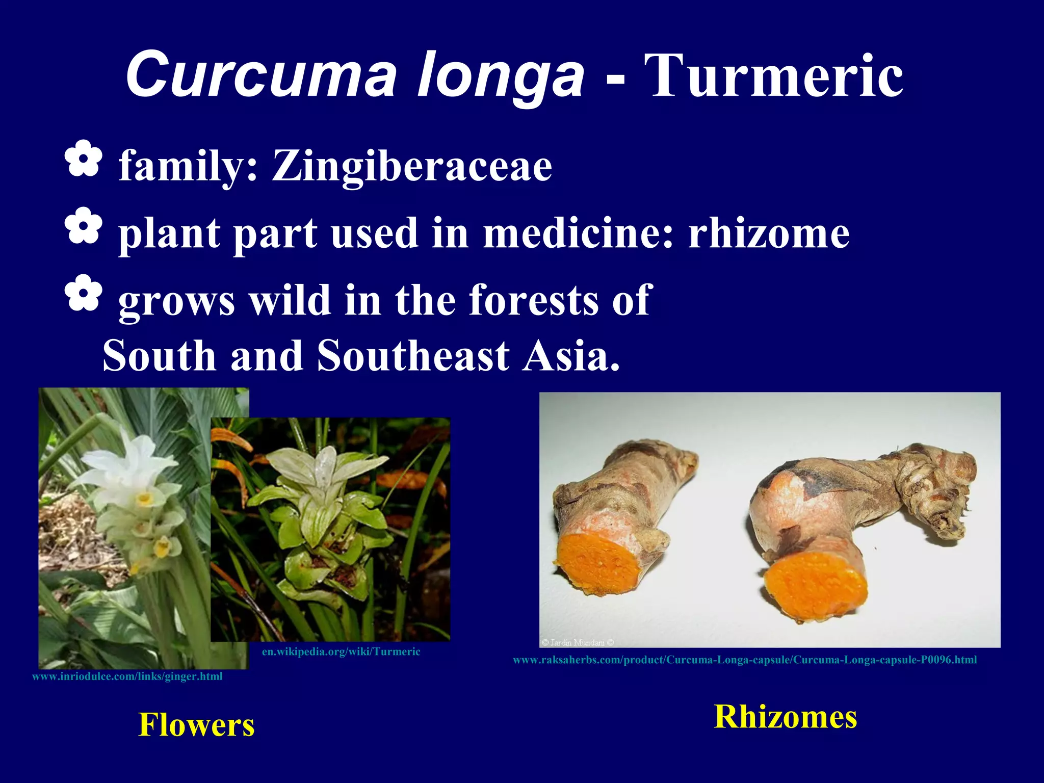 Medicinal plants the future in cataract therapy
