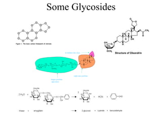 Some Glycosides
 