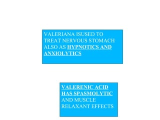 VALERIANA ISUSED TO
TREAT NERVOUS STOMACH
ALSO AS HYPNOTICS AND
ANXIOLYTICS




     VALERENIC ACID
     HAS SPASMOLYTIC
     AND MUSCLE
     RELAXANT EFFECTS
 