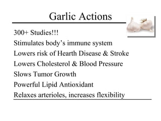 Garlic Actions
300+ Studies!!!
Stimulates body’s immune system
Lowers risk of Hearth Disease & Stroke
Lowers Cholesterol & Blood Pressure
Slows Tumor Growth
Powerful Lipid Antioxidant
Relaxes arterioles, increases flexibility
 