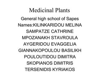 Medicinal Plants
 General high school of Sapes
Names:KILINKARIDOU MELINA
    SAMPATZE CATHRINE
 MPOZANAKH STAVROULA
  AYGERIDOU EVAGGELIA
GIANNAKOPOULOU BASILIKH
  POULOUTIDOU DIMITRA
    SKOPIANOS DIMITRIS
   TERSENIDIS KYRIAKOS
 