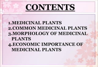 MEDICINAL PLANTS BOTANY which includes their economic importance | PDF
