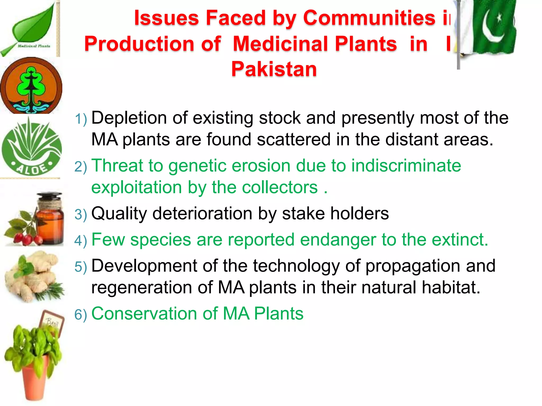 Medicinal plants cultivation In Pakistan A Presentation By Mr Allah Dad ...