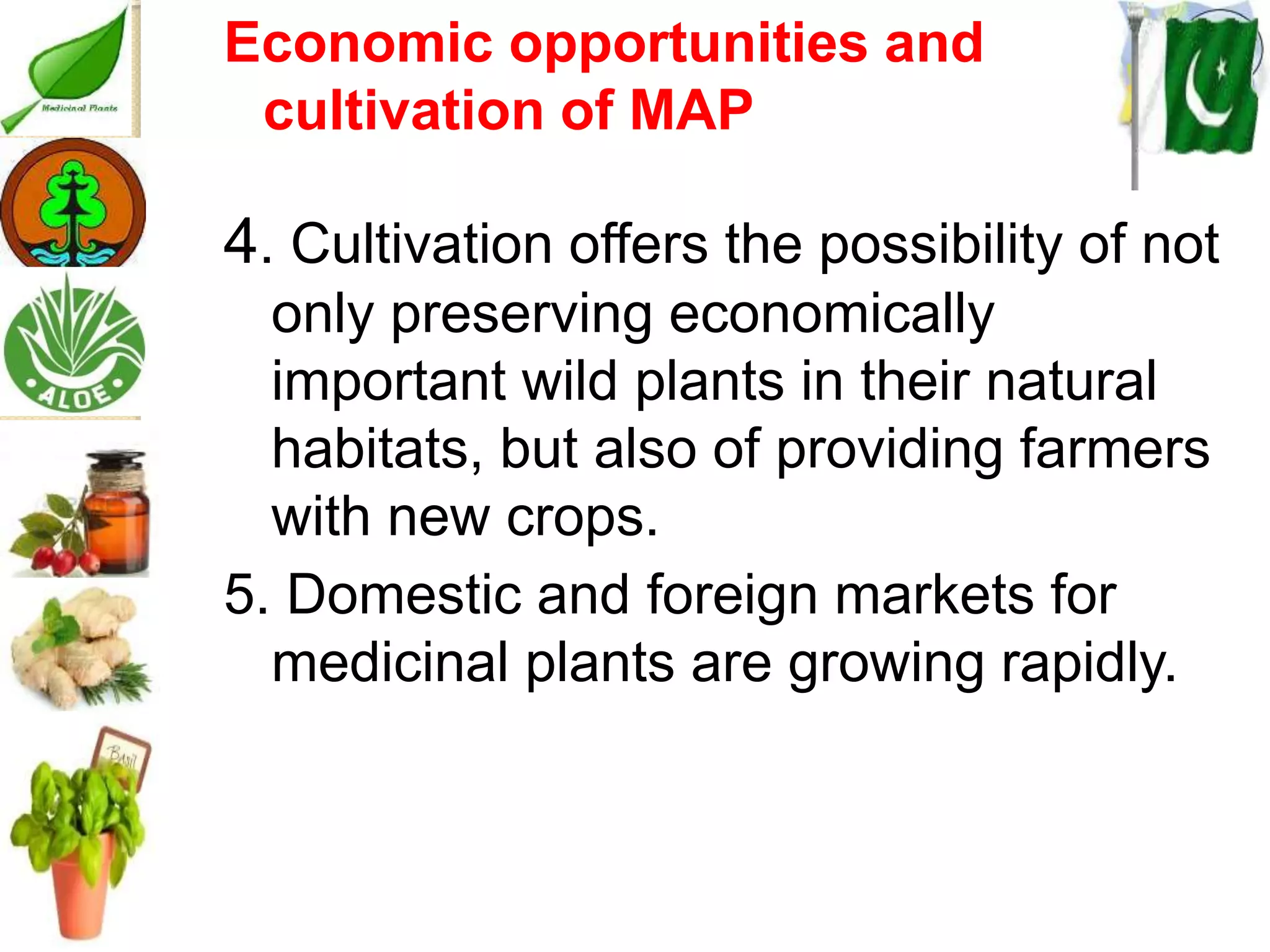 Medicinal plants cultivation In Pakistan A Presentation By Mr Allah Dad ...