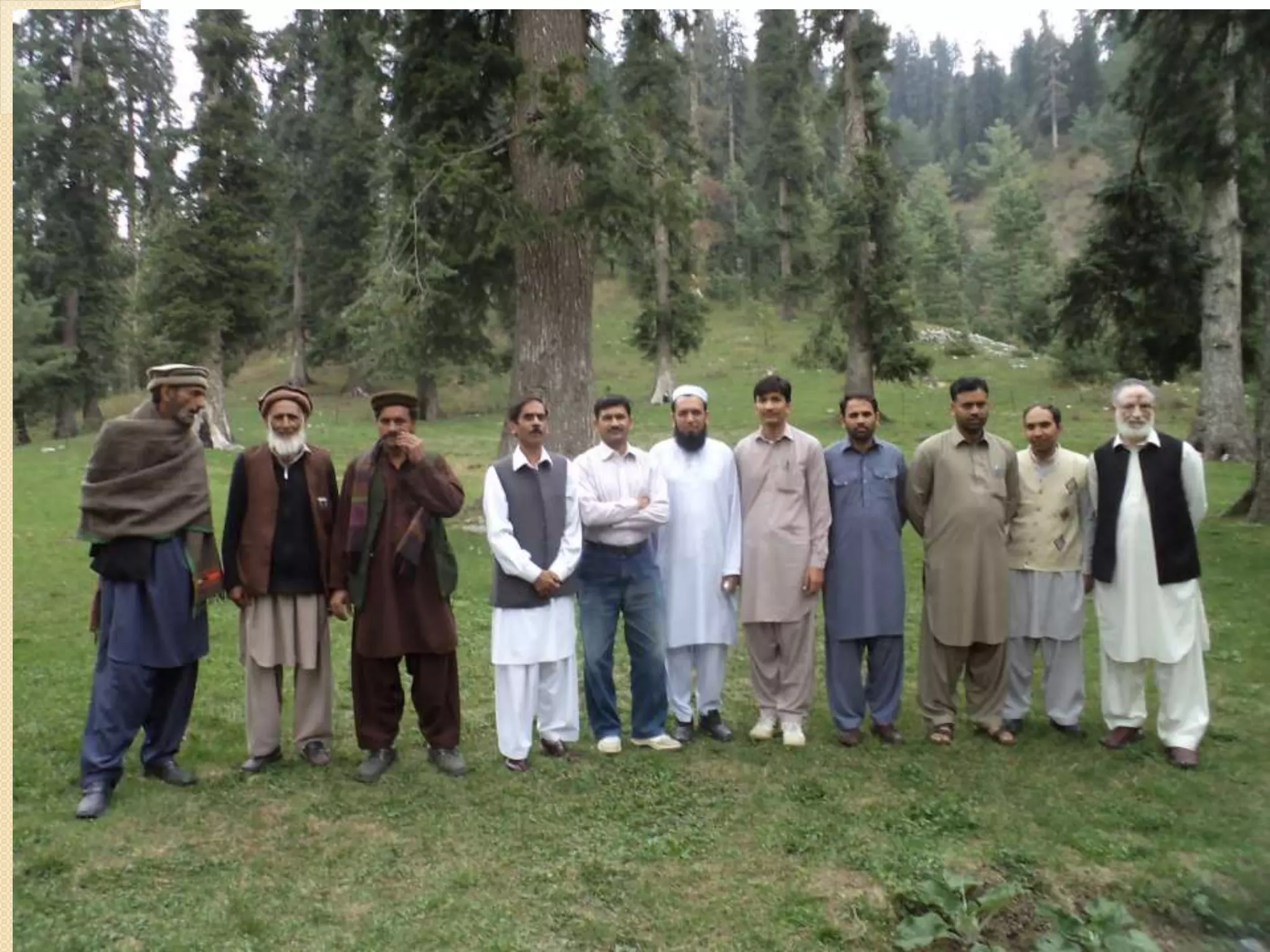Medicinal plants cultivation In Pakistan A Presentation By Mr Allah Dad ...